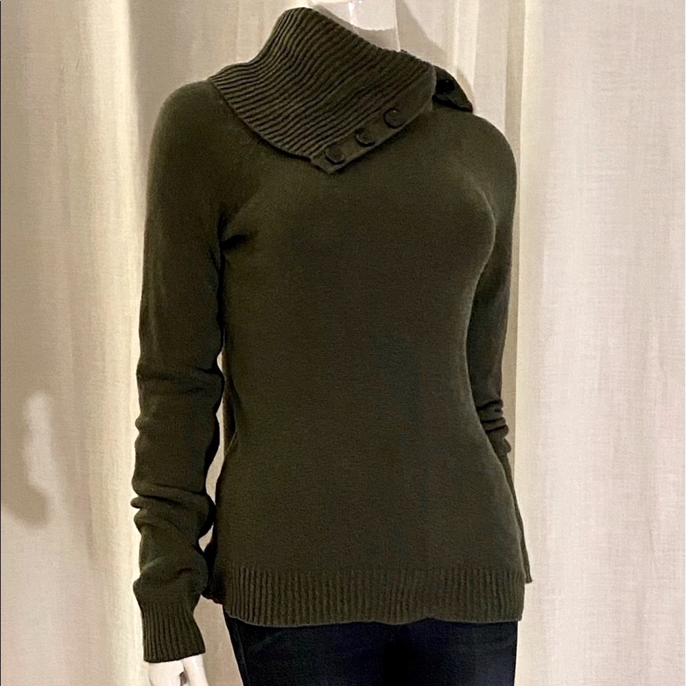 GAP Dark Olive Turtleneck Sweater